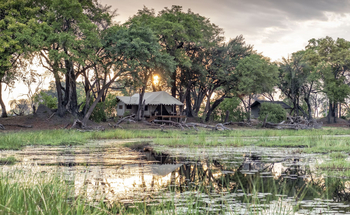 Duba Explorers Camp: Gästezelt unter Bäumen
