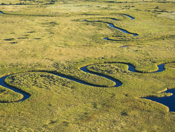Duba Plains Camp: Flussschleifen