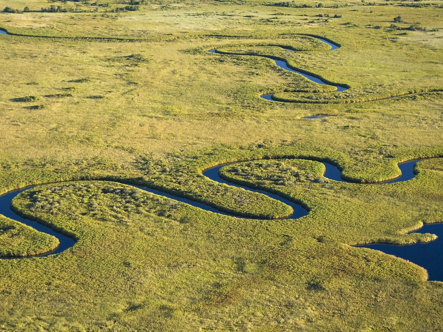 Duba Plains Camp