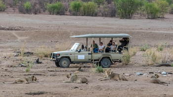 Hobatere Lodge: Game Drives