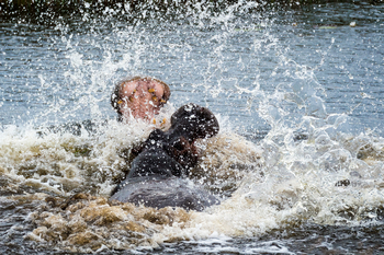 King's Pool Camp King's Pool Camp: Hippo Fight