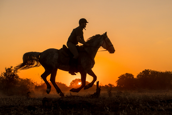 Mashatu Game Reserve: Reiten - Galopp