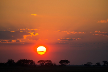 Mukambi Busanga Plains Camp: Letzte Sonne