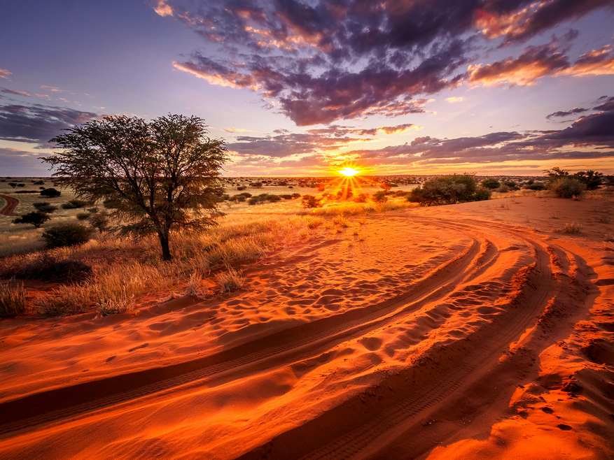 Bagatelle Kalahari Game Ranch