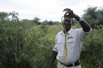 Nambwa Tented Lodge: Bush Walk