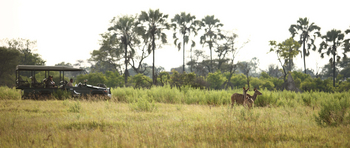 Nxabega Okavango Tented Camp: Geländefahrzeug