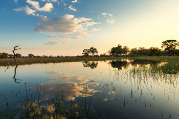 Okavango Explorers Camp Okavango Explorers Camp: Stille Lagune