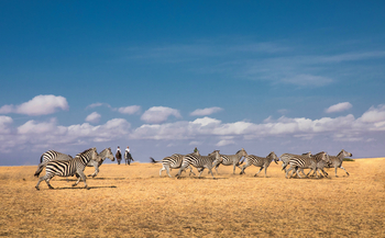 Ol Donyo Lodge: Zebras und Reiter