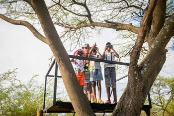 Onguma Bush Camp: Yount Explorer's Walk