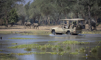 Royal Zambezi Lodge: Elefanten nahe des Wassers