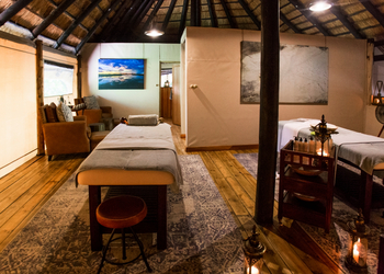 Selinda Camp: Wellness