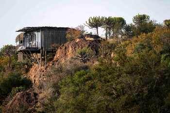 Singita Lebombo Lodge: Gästesuite über baumbestandener Schlucht