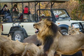 The Old House: Löwenrudel