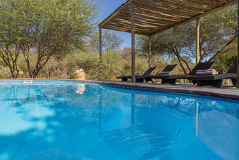 Boteti Tented Safari Lodge: Swimming Pool