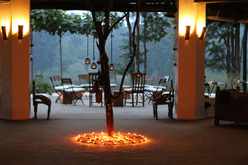 Flame of the Forest Safari Lodge: Blick ins Freie