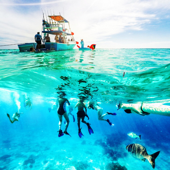 Fundu Lagoon: Tauchen