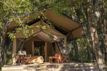 Governors' Camp: Classic Safari Tent