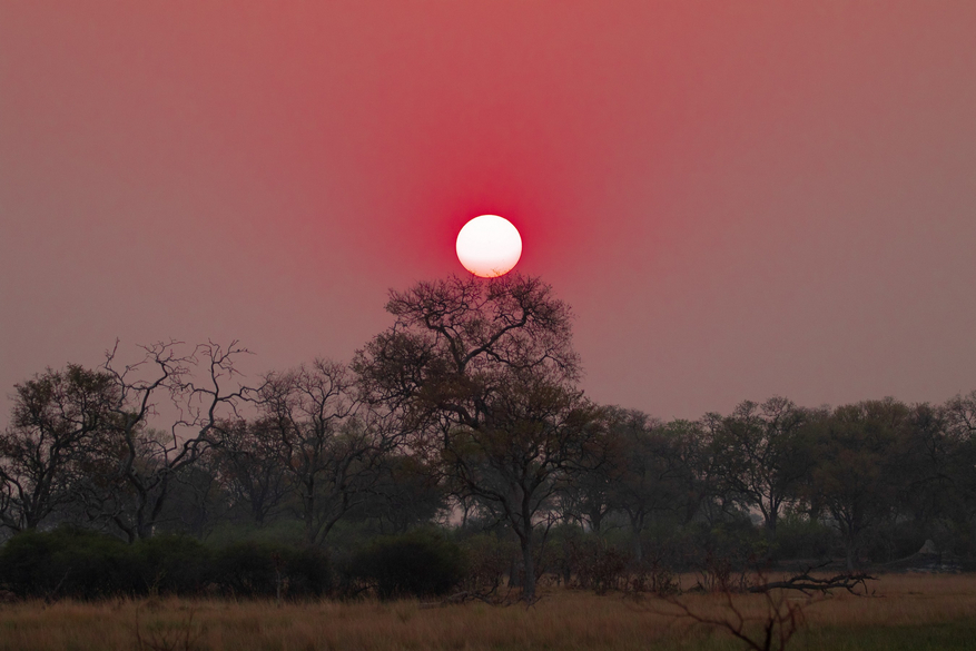 Karangoma Camp