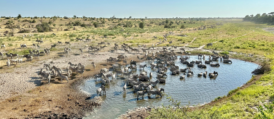 Moela Safari Lodge