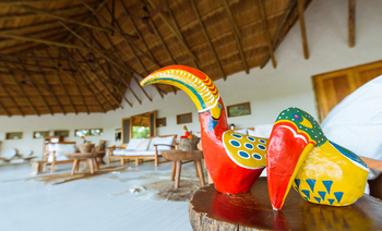 Nxai Pan Camp: Bunte Vögel