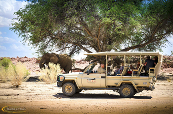 Ozondjou Trails: Game Drive