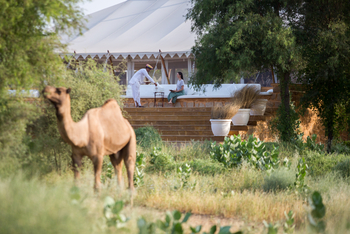 Sujan The Serai: Tee wird im Garten serviert