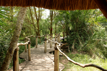 Enjojo Lodge: Holzsteg zu den Chalets