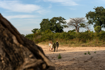 Kokoko Camp: Naturwanderung
