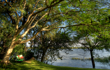 Kubu Lodge: Bank im Garten