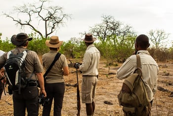 Linyanti Bush Camp: Walking Safari