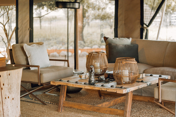 Little Chem Chem: Lounge