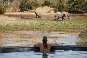 Molori Mashuma: Pool Safari