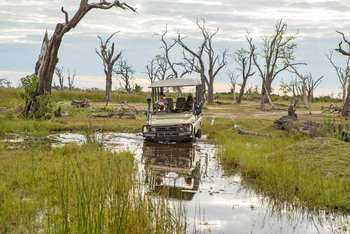 Moremi Game Reserve: Fahrt durch tiefes Wasser