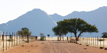 Namtib Desert Lodge: Zufahrt und Blick zu den Tiras-Bergen
