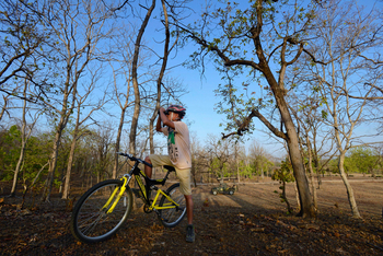 Pench Tree Lodge Pench Tree Lodge: Beobachtungsstopp