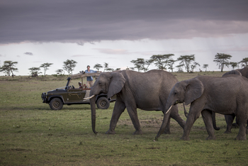 Richard's River Camp: Game Drive
