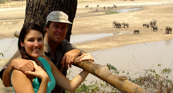 Shenton Safaris Shenton Safaris: Elephant Hide