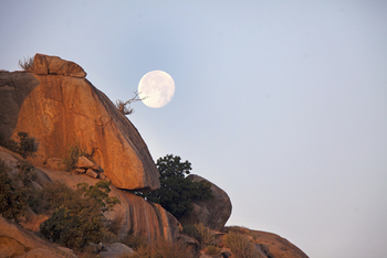 Sujan Jawai: Fast Vollmond