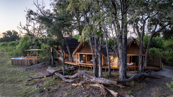 Tawana Camp: Suite unter Bäumen