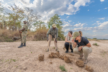 Time + Tide South Luangwa Time + Tide South Luangwa: Walking Safari