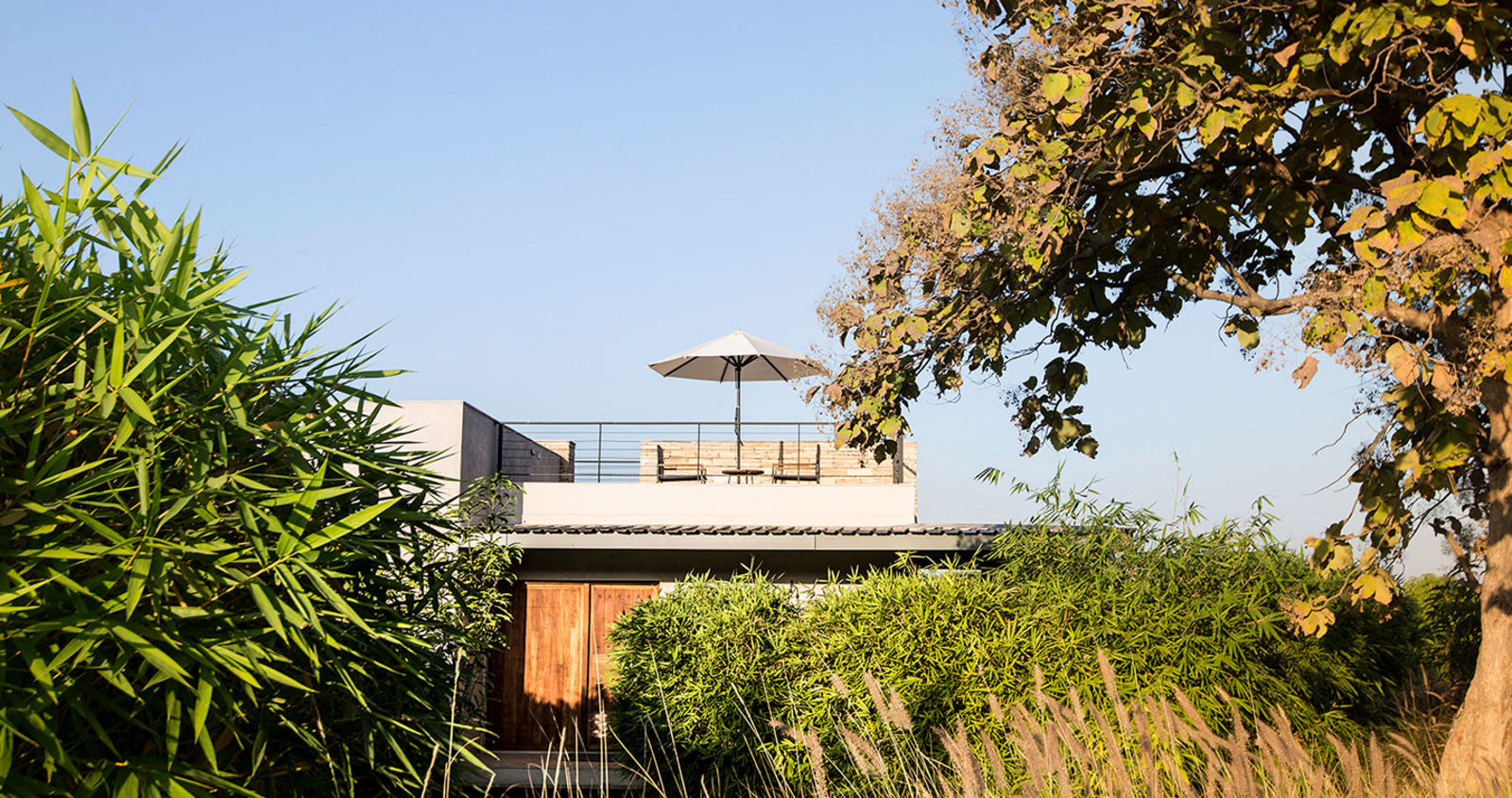 Woods at Sasan Woods at Sasan: Studioterrasse