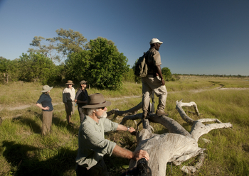 Zarafa Camp: Dereck Joubert