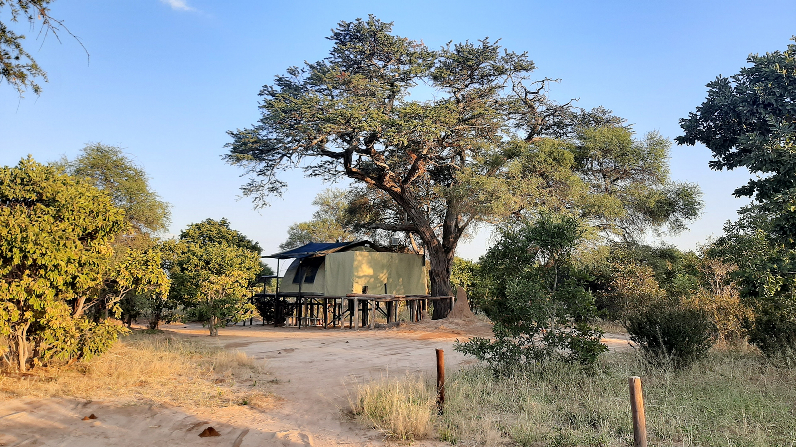 Jozibanini Camp Jozibanini Camp: Zelt unter Baum