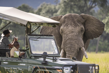 Governors' Il Moran Camp: Elefantenbulle