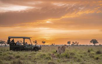 Governors' Il Moran Camp: Löwin beim Game Drive