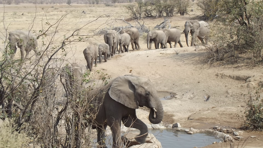 Hobatere Lodge