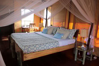 Kasenyi Safari Camp: Doppelbett unter Moskitonetz