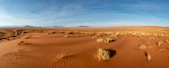 Kwessi Dunes: Dünen