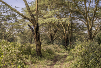 Loldia House: Am Kratersee