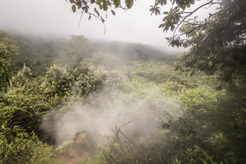 Loldia House: Eburu Forest